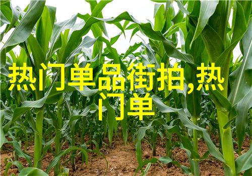 TXL金银花下厨房美食探索