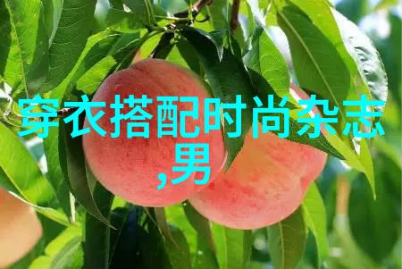 爱马仕围巾-优雅与品质的完美结合