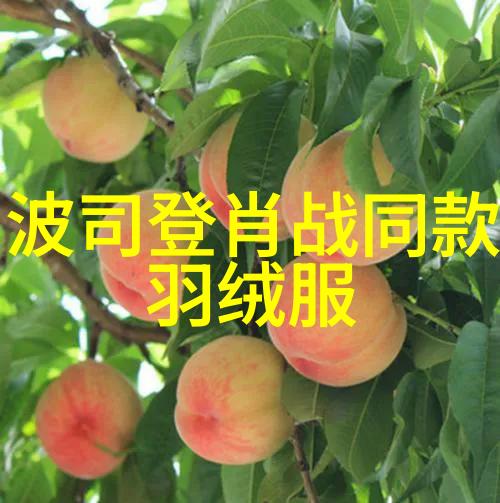 助力成长揭秘增高鞋的魔力之源