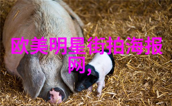 男生自然短碎发发型的审美价值与文化意义研究
