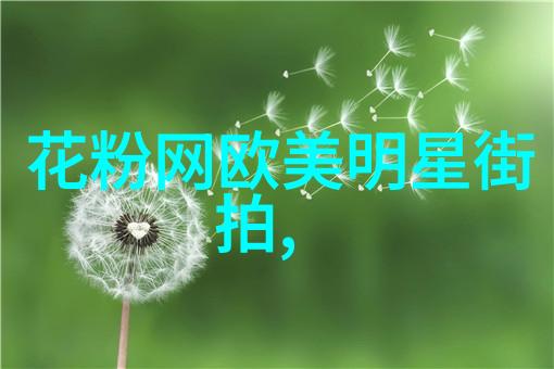理发艺术的殿堂专业培训学校引领美发新潮流
