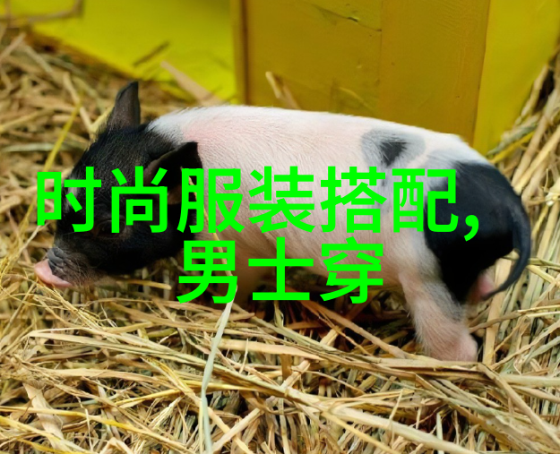 海洋文化-船鞋穿越时空的海上故事