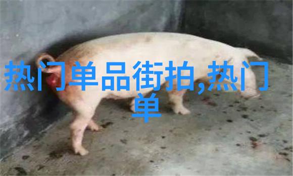 双十一序幕开启香奈儿五大经典包引领情感时尚