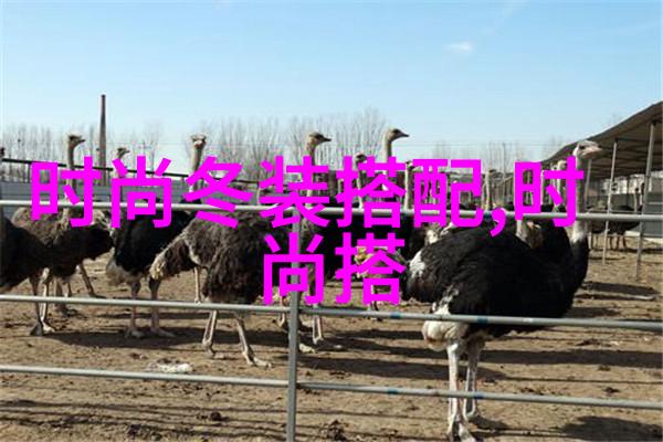 发型艺术的精髓探索正规美发培训的魅力