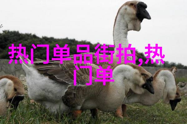 复古与现代融合2023年的最佳短发剪法推荐