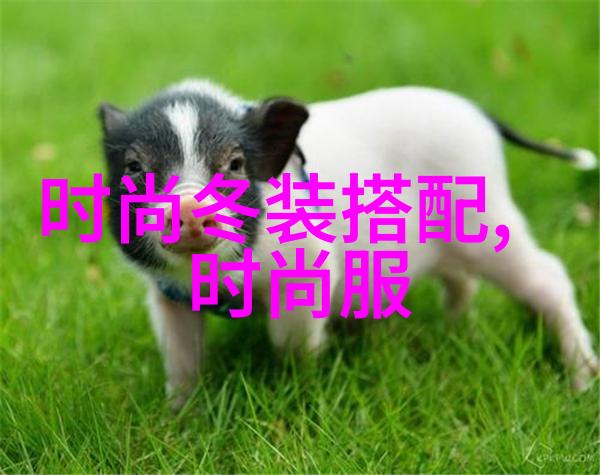 四川少扫搡BBW搡BBBB我在四川偶遇一位壮实的美女她不仅身材火爆还有着令人惊叹的活力和热情
