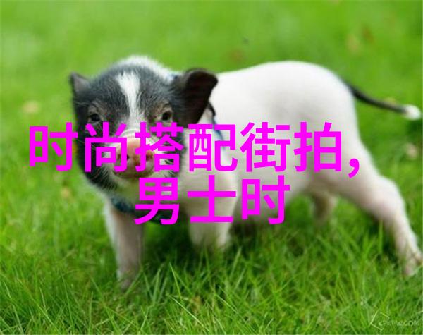 时尚界的男神如何打造完美的男装搭配