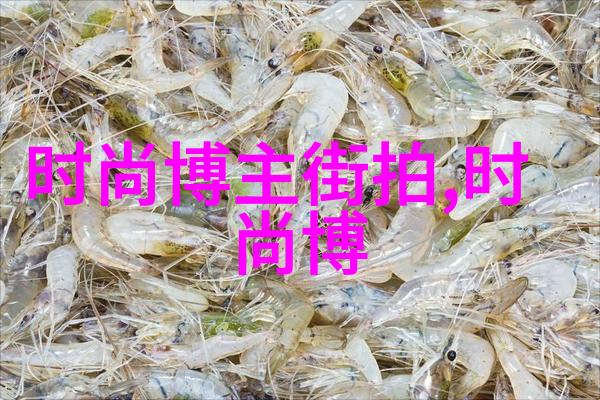 最新电影网宣布第十届丝绸之路国际电影节公益放映活动即将隆重启幕9月23日至10月6日不仅让您体验一场