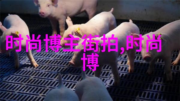 解密数字界限www.669ff.com背后的奇幻世界