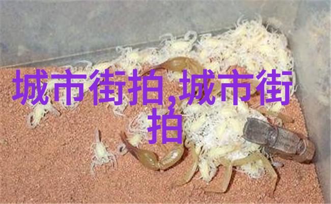 秀发新造型2023年最新剪发趋势