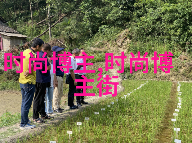 东京热探索成人影片下载的世界