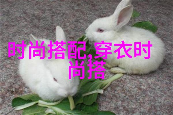 卫生间6分34秒时间管理的挑战