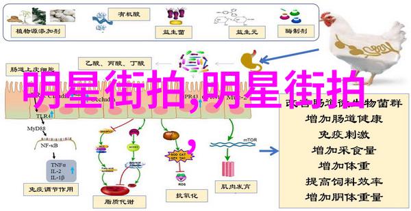 斐乐衬衫我是怎么发现这款超级棒的T恤的