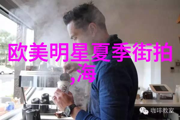 国际视野下的382项目实施策略分析
