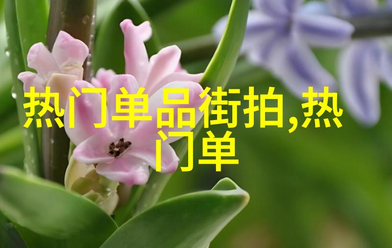 快穿攻略名配器叠加的小说我是系统的私人助手你要怎么玩