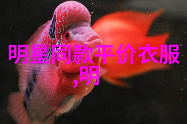 给太子当小弟后他弯了我是如何从宫廷小角色蜕变为权力的新宠的