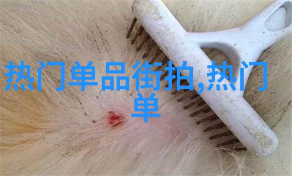 古风发型学半扎半散的美学探究与文化意义解读