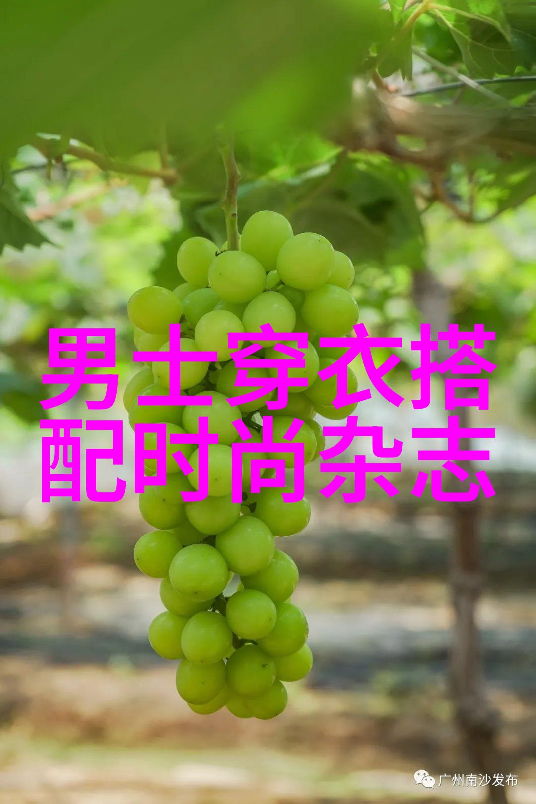 中年时尚发型女短发图片秀发新篇章