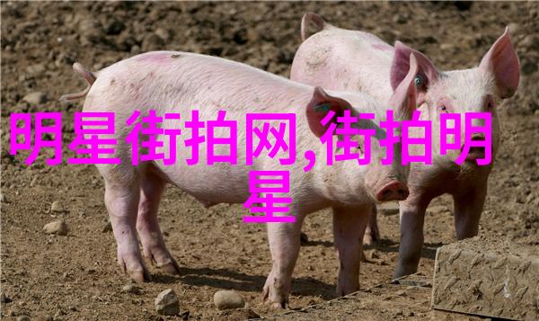 高N车与多肉植物的并行世界追求极致美学与生活品质