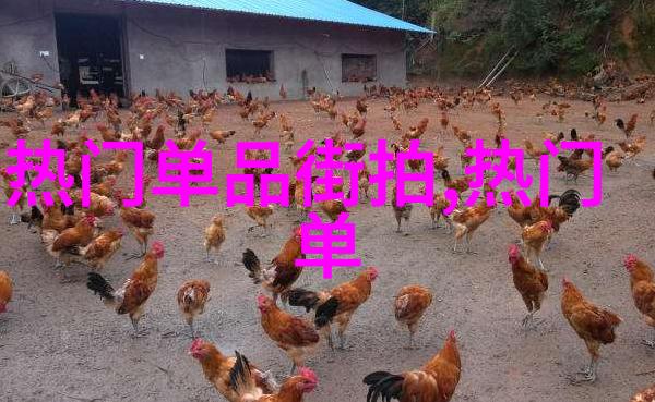 潮水欢迎你老狼的RAPPER故事