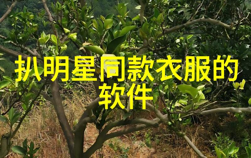 男士发型短发的文化演变与现代审美趋势研究