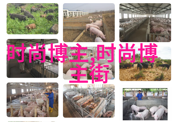 时尚美妆-流行发型女追逐时尚的发型王国