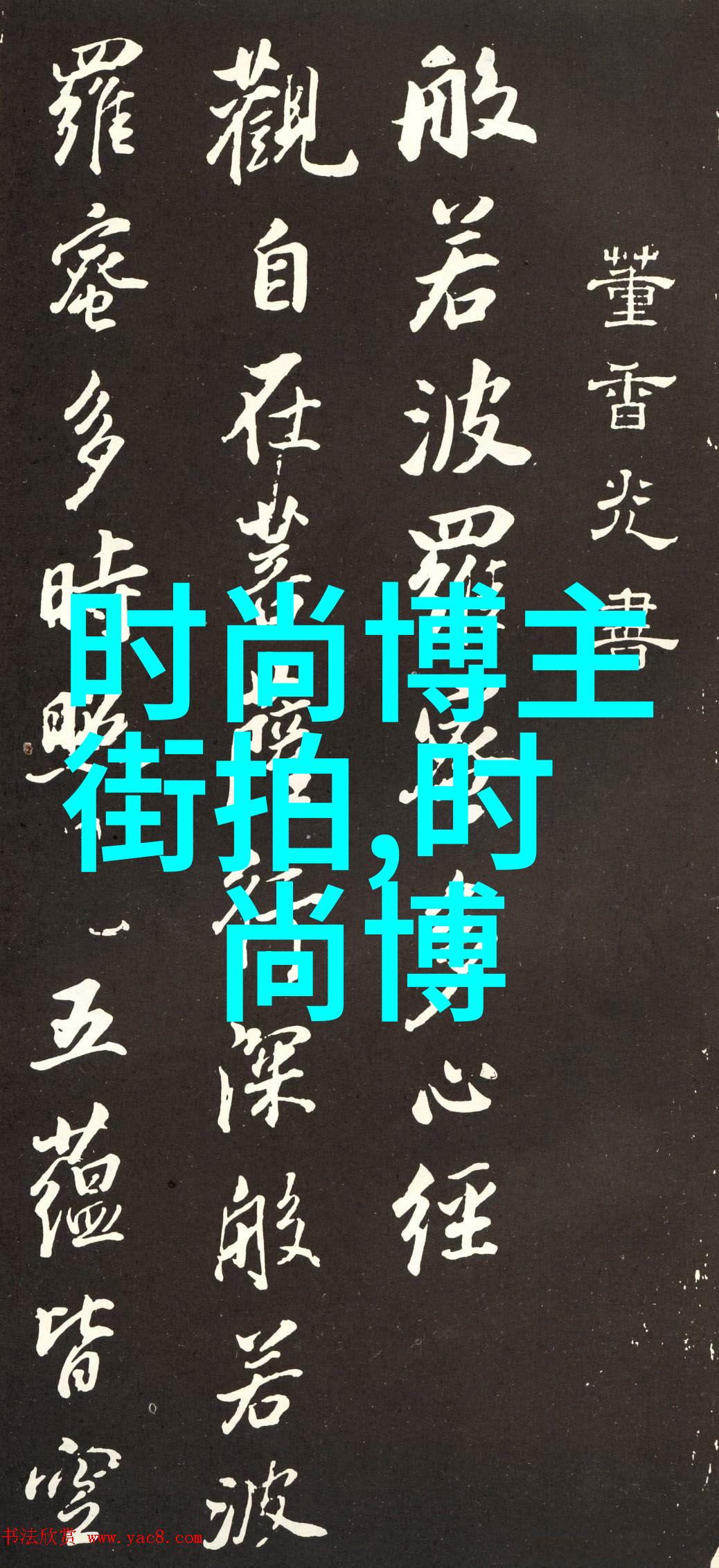 222NV.com探秘数字世界的无限可能