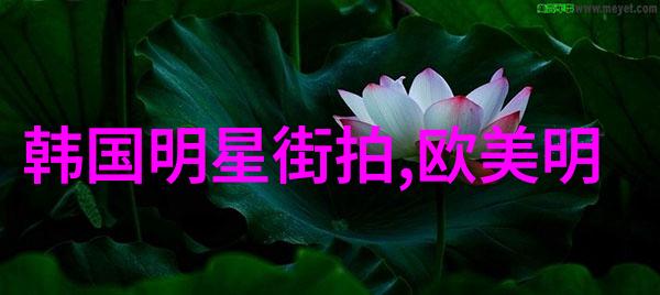 热门单品风潮街拍达人的时尚之选