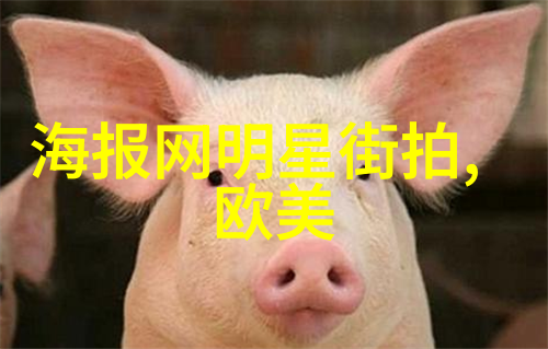 坐公交车居然弄了2小时视频我是如何在上班路上无意间制作出一个两小时长的视频的