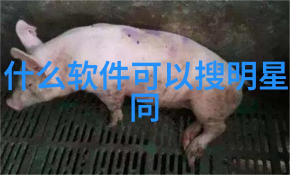 气冲星河穿越时空的奇幻冒险