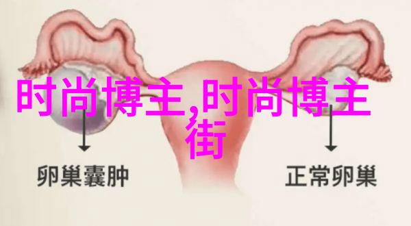 岳女共夫张淑芬的韩剧风情