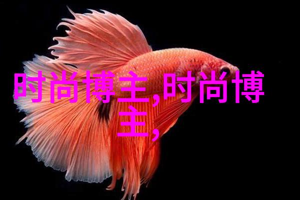 宝物收集指南让你的角色在360天界闪耀光芒