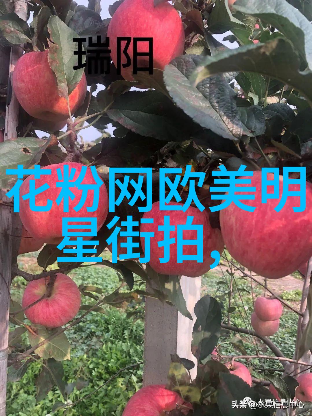 有没有特别邀请的国际艺术家参与2021年元宵晚会