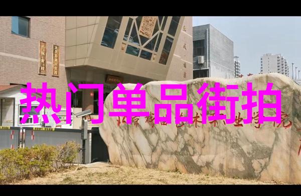 欧美明星街拍海报网时尚明星们的潮