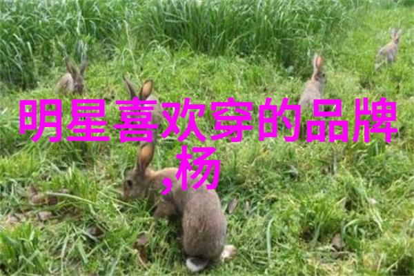 男生时尚服装搭配图片大全夏季男装搭配技巧秋冬男士时尚单品春季学生街头风格冬日温暖外套搭配