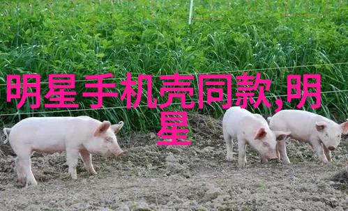 寻找隐秘角落的故事蜗居生活中的文学探索