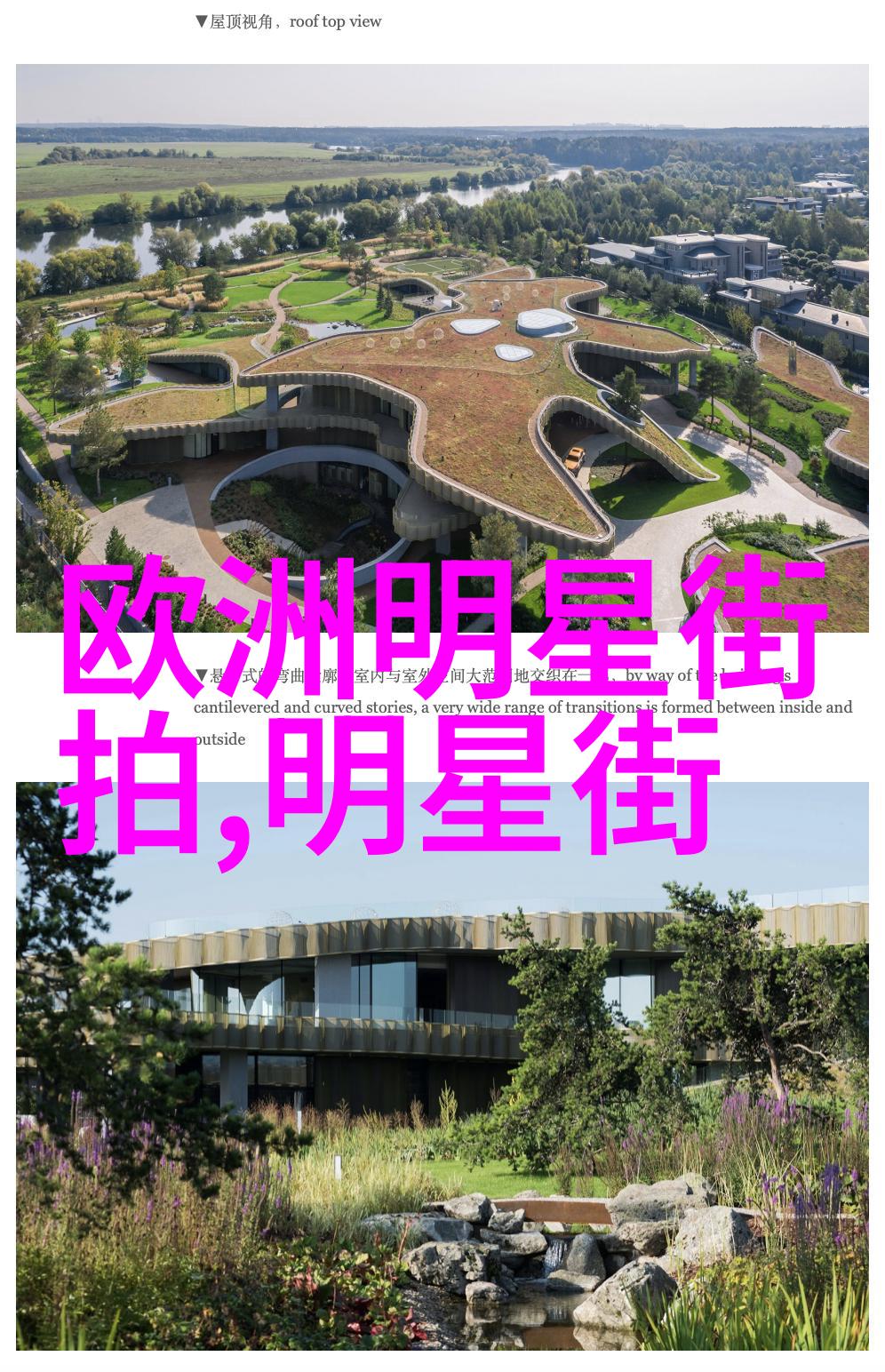 秀发艺术解锁短发搭配脸型的秘密精选搭配图片指南