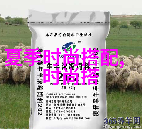 染发调色大作战从暗黑到明亮变身颜彩小精灵