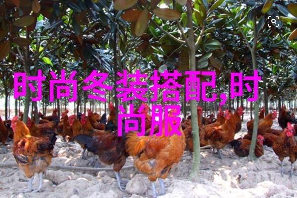 时尚短发女 - 时尚界的新宠儿如何打造完美短发造型