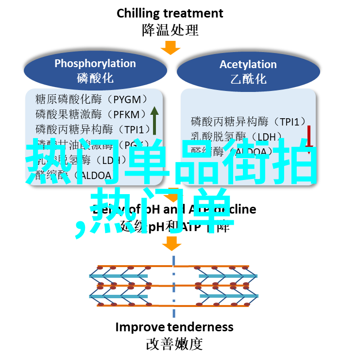 剪短发际少女时光重现一场关于减龄的秘密变革
