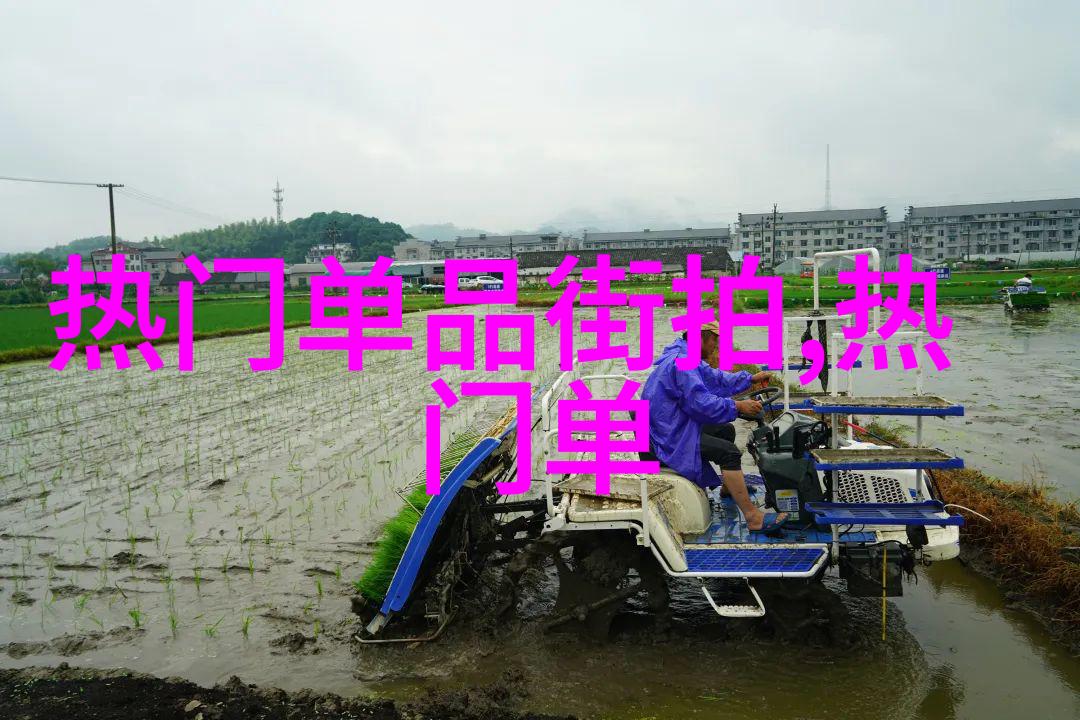 心语未泯探索安知我意背后的情感深度