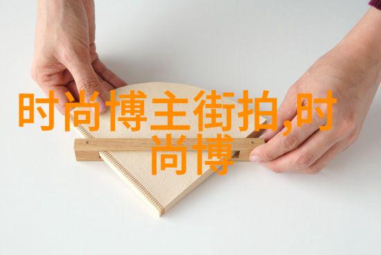 WWW片免费高清中文观看