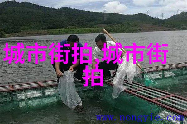 40岁女人最佳短发发型我来帮你找出适合你的时髦造型