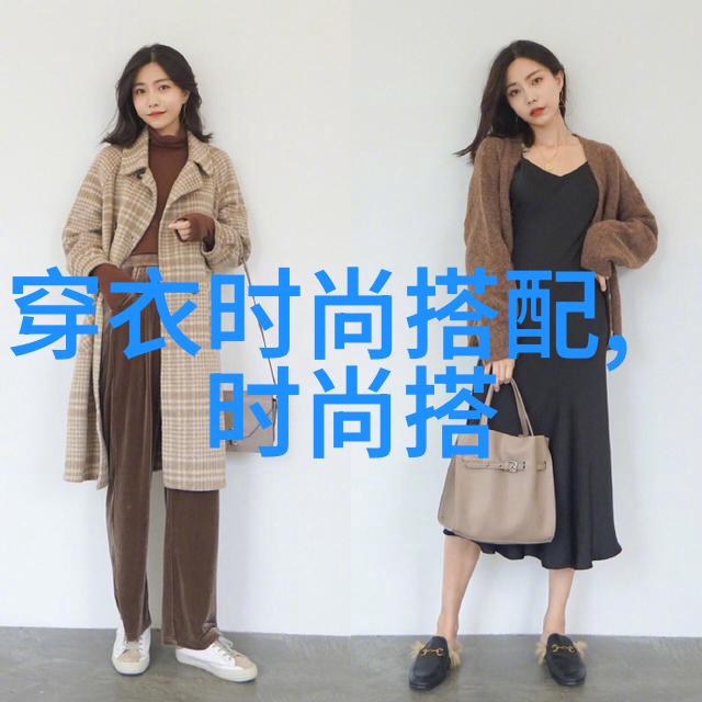 海底世界的奇妙探险揭秘贝壳之谜
