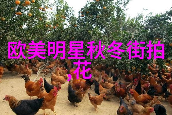 美发交流网 - 秀发风尚探索美发交流网的时尚趋势