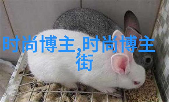 无痕抽剪手法揭秘收头发的新秘籍