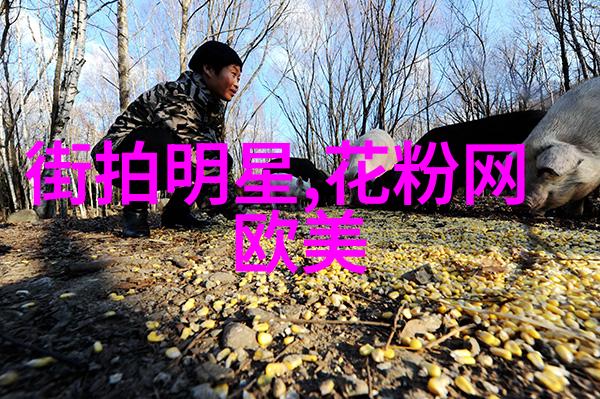 时尚界中什么样的设计风格最受欢迎的男装外切呢