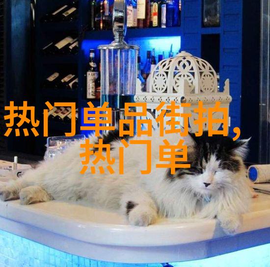 汽车之旅中的独特节奏
