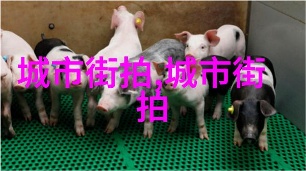 心眼BY 北南揭秘一代艺术家的灵魂画廊