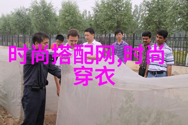 寒风中绽放的男士风衣逆袭与时尚的交响篇